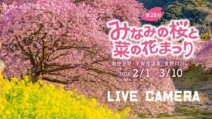 静岡県南伊豆町 みなみの桜・道の駅下賀茂温泉湯の花内のライブカメラ