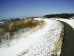 最上川 地見興屋 22.0k右岸のライブカメラ|山形県酒田市のサムネイル