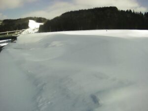 山形県戸沢村 最上川 皿島 42.7k右岸のライブカメラ