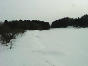 秋田県横手市 雄物川 雄物川町今宿 85.4k左岸のライブカメラ
