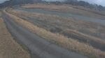 江の川 左岸 深瀬153.4kのライブカメラ|広島県安芸高田市のサムネイル