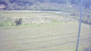 島根県美郷町 江の川 左岸 都賀行67.8kのライブカメラ