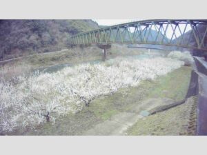 広島県三次市 江の川 右岸 伊賀和志106.3kのライブカメラ
