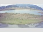 江の川 右岸 中所137.8kのライブカメラ|広島県三次市のサムネイル
