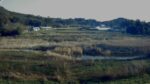 本庄川 12k400東諸県郡綾町南俣のライブカメラ|宮崎県綾町のサムネイル