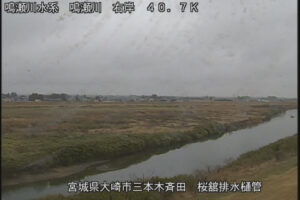 宮城県大崎市 鳴瀬川 桜舘排水樋管 40.7km右岸のライブカメラ