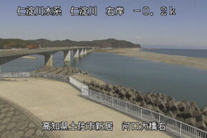 高知県土佐市 仁淀川 右岸-0k2土佐市 河口大橋右のライブカメラ