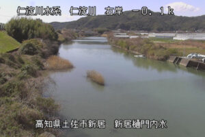 高知県土佐市 仁淀川 右岸-0k1土佐市 新居樋門内水のライブカメラ