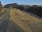 大淀川 78k800都城市都島町のライブカメラ|宮崎県都城市のサムネイル