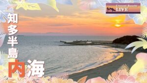 愛知県南知多町 南知多町内海新田付近から内海海水浴場のライブカメラ